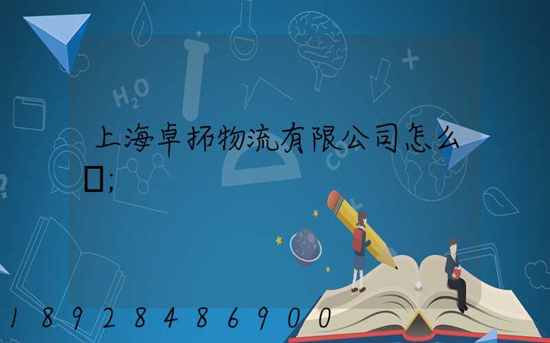上海卓拓物流有限公司怎么樣